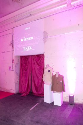Wiener Wäschermädelball 2013, Teil 5 016 © Arman Rastegar