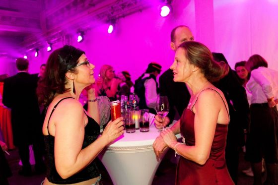 Wiener Wäschermädelball 2013, Teil 7 025 © Arman Rastegar